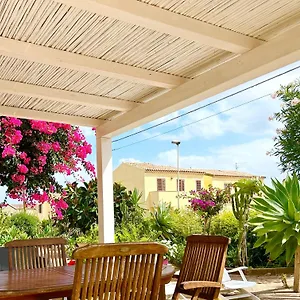 Bouganville , Valledoria (Sardinia) Italien